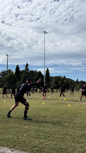 Sydney Roosters Best Moments Compilation