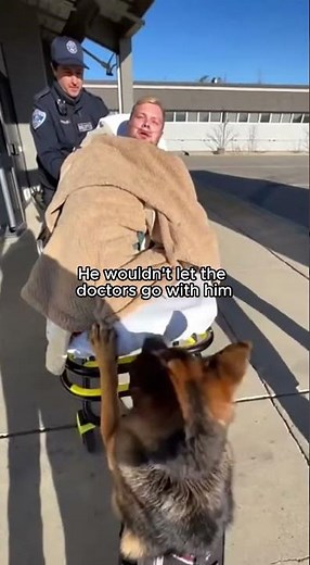 Hospital Staff Tried to Hold Him Back… The Dog Just Wanted His Owner