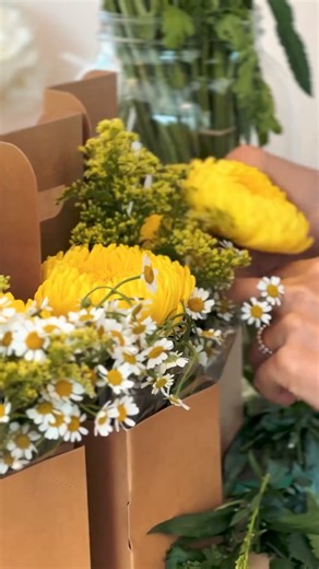 29K views · 1K reactions | Welcome to Coconut Grove, Miami’s oldest neighborhood! The Grove is known for its numerous parks, bohemian style, and historical buildings. Have you ever explored Coconut Grove? #FindYourMiami (via IG/groveandgables) | Visit Miami | Facebook