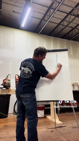 Directional felling lesson w/ Chris Chiles ##chainsaw##treefellingtechnique##timber##notch##cutting