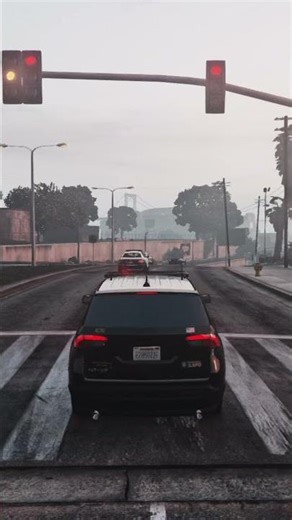 GTA V LSPDFR REALISTIC POLICE PATROL