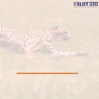 2.6K views | Be Mastered with SLIIT MSc in, Information Technology...