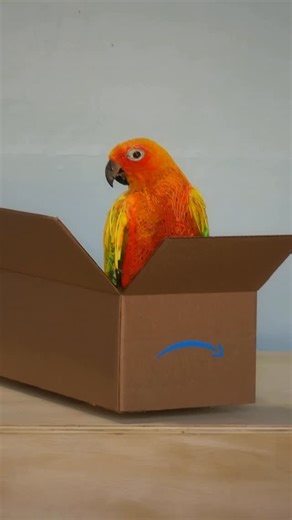 Thomas Deininger | Happy Black Friday!… And in the most vulgar irony imaginable this sculpture is actually for sale…. It will be with the... | Instagram