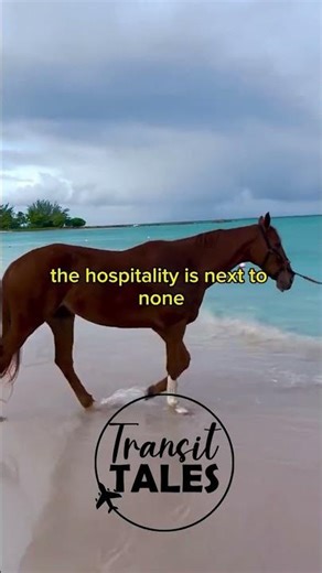 Top 5 things to do in Barbados