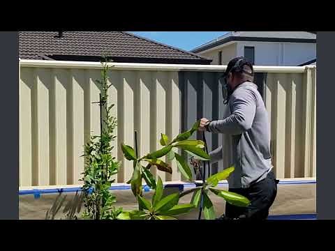 Colorbond Fence Painting