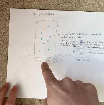 Physics - The Explanation of the Collapsing Can
