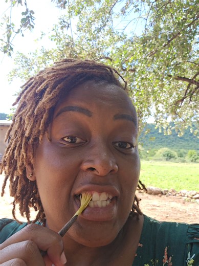 Experience the Unique African Toothbrush Tradition