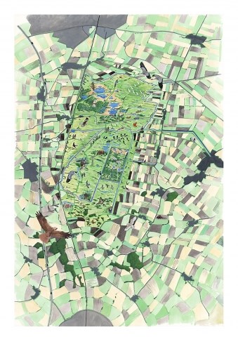 Restoration Project Progress | The Great Fen