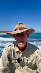 50 year storm swell… #crocturnbull #askanyaussie #australia #cyclonealfred #surfing | Steve Turnbull