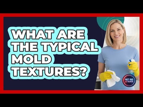 What Are The Typical Mold Textures?