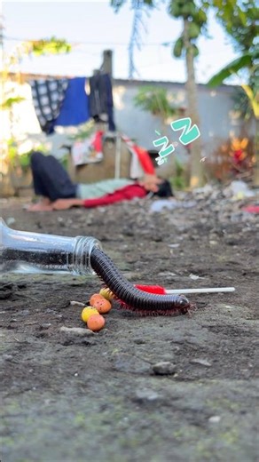 Sleeping Under Tree, While the millipede are coming out, this human is probably having a sweet dream