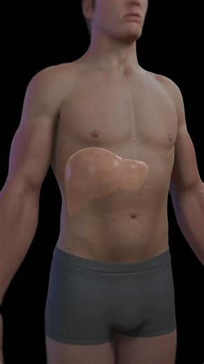 81K views · 1.4K reactions |  Focus on Liver Cirrhosis  A serious...