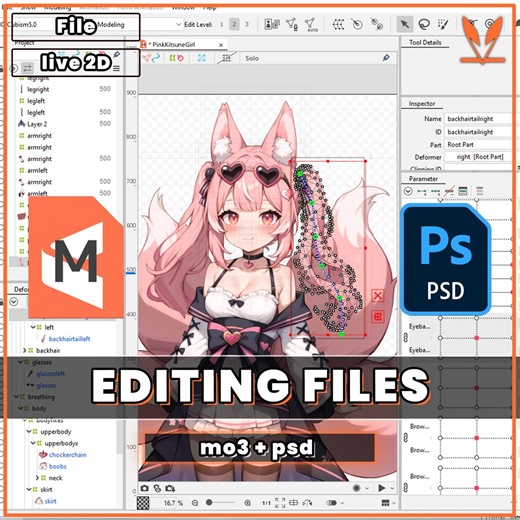 Live2d and Photoshop File Package - Get the Editing Files for Your Vtuber Model - Mo3 and Psd - Unlock Full Control - Etsy