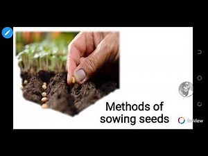 Science (Methods of Sowing Seeds) for JHS 1