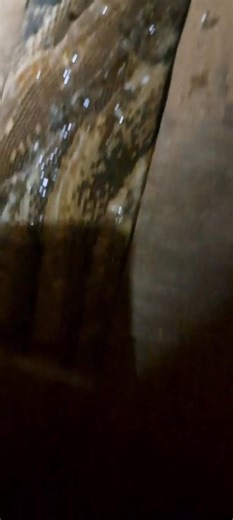 1.2K views · 21 reactions | A huge thank you to Hannes Grobler, who...