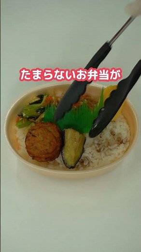 ほっともっとから新メニューが登場！ #ほっともっと #hottomotto #お弁当 #ごはん