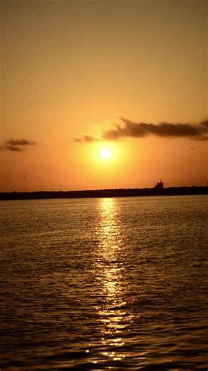 Learning isn’t the problem. Action is. #onlineskills #learningonline #selfgrowth #digitaljourney #creatortips