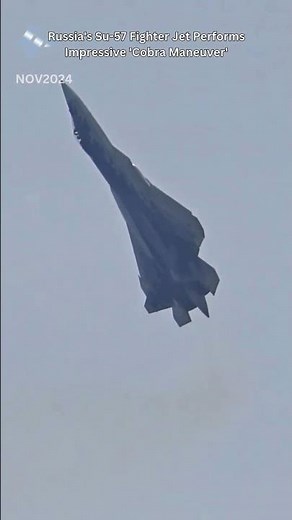 Russia's Su-57 Fighter Jet Performs Impressive 'Cobra Maneuver'