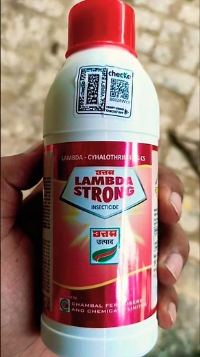 Lambda-Cyhalothrin 4.9% CS Insecticide 🐛🐞 #kisancity #insecticide
