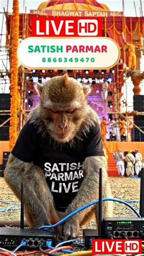 SAM DAY LIVE STREAM WITH INTERNET SERVICE PROVIDER #funny #comedy #monkey #movie #live #livestream