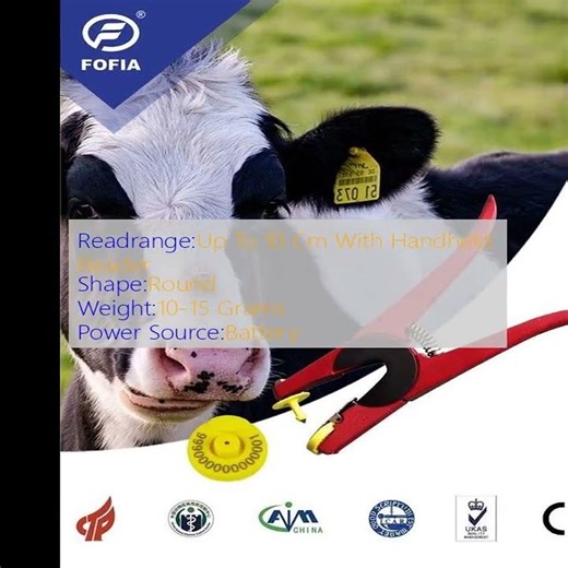 Durable Cow Ear Tags For Livestock Tracking