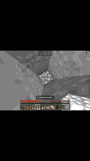 Average Night Vision user 😭😭 #nightvision #bedrock #minecraft