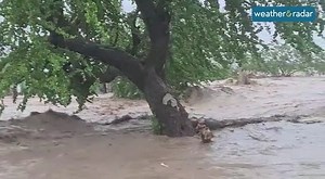 2.5K views · 20 reactions | Tropical Storm Laura slammed into the Dominican Republic this weekend causing widespread flooding. The raging torrents of water destroyed roads and homes. Laura has now cleared the country and is grazing the coast of Cuba as it tracks towards the Gulf of Mexico. | Weather & Radar UK / Ireland | Facebook