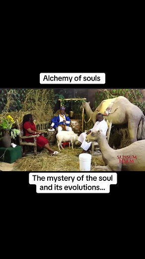 Exploring the Mystery of Souls and Their Evolution
