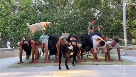 Exploring Guilty Party with Kate Beckinsale