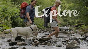 598K views | Pet products with comfort, quality and style. Made with premium nylon and leather | Hamilton Products | Facebook