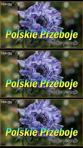 Najwieksze Przeboje lat 80 90 - Polskie Hity Lat 80 i 90 - Stare Polskie Piosenki