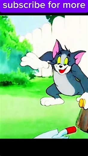 Tom & Jerry Spike's Hilarious Misadventures