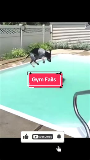 Top FAILS GYM qui font trop mal 😭 #failvideo #gymtok #muscu #pourtoi #trend