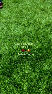 58 reactions · 33 shares | Premium Gajji silk SAREES #viral #latest #trendy #collection #grabfasttt #grabfasttt | SHEZ- Tales of Elegance | Facebook