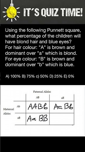 Punnet square problem and solution