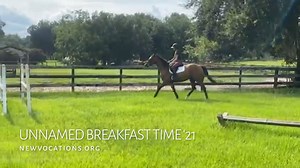 🆕 NEW VIDEO & UPDATES -- UNNAMED BREAKFAST TIME '21 is just getting restarted under saddle. "Dunkin" happily stepped back into a program after some time off. He is comfortable and well-balanced under saddle. Dunkin would do best with a confident, encouraging rider. He's a sweet boy who genuinely enjoys having a job again. Click here to view his full profile and consider adoption: ➡️ newvocations.org/horse_detail/1373 🍩 Location: Ocala, FL 🍩 2021 Thoroughbred Gelding 🍩 16.1 h - #thoroughbred 