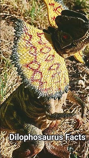 Dilophosaurus Facts