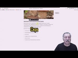 Telegra.ph -простейший конструктор веб-страниц. Используем на все 100%