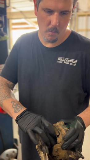 ⚡ Don’t Let This Be Your Motor Mount This one’s about to snap a bolt — and when that happens, your whole engine can shift or drop. At Bob’s Auto, we catch dangerous problems like this before they leave you stranded. ️ Motor mount inspections & replacements  Family-owned, small-town service you can trust  Cleveland, OK  Call today 918.358.3778 or  Book Online https://tinyurl.com/3r2xb59s | Bob's Auto Repair | Facebook