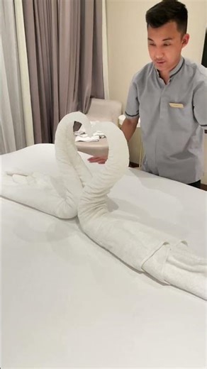 Towel art 🤗