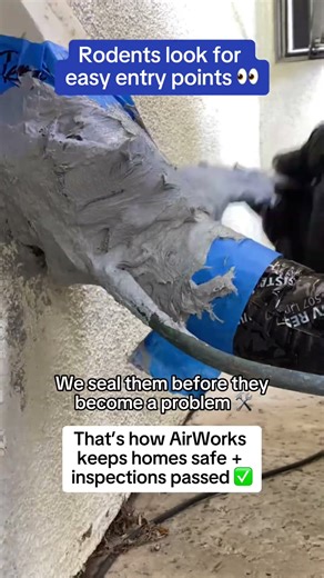 Sometimes rodent proofing has to be done!