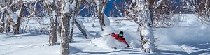 Hanazono Niseko | Hanazono Powder Guides