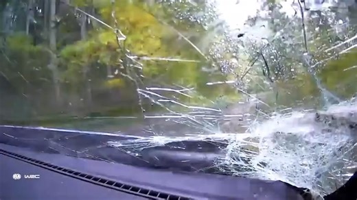 The Best of WRC Rally Japan 2025 🫨 Crashes, Action and Raw Sounds #fbpost2025シ #ccto #WRC #everyonefollowers Part 1 | Edgardo Jr Cuizon