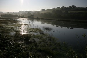 The Avon Valley Project | Devon Wildlife Trust