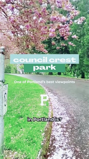 Exploring Council Crest Park: Portland's Highest Point