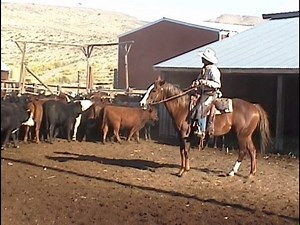 34K views · 173 reactions | Here's a look at shipping season from 2004. Elko County rancher Peter Church made this video about Superior Livestock rep Allie Bear for the Western Folklife Center's "Deep West" series. | Western Folklife Center | Facebook