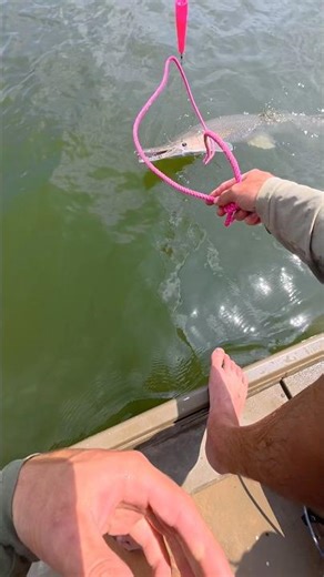 POV: You’re Trying to Lasso a River Monster 🎣