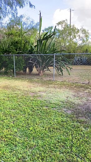 her crocs weren’t in sports mode #blooper #ColorCustomizer #fyp #956 #wiggies #rgv956 #956valley