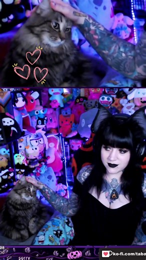 I love it when my cat Sage politely asks for headpats 🥹💜 #cattok #catsoftiktok #fluffycat #catlover