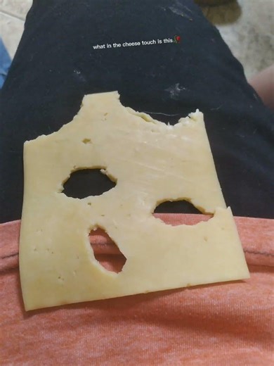 what in the cheese touch is ts